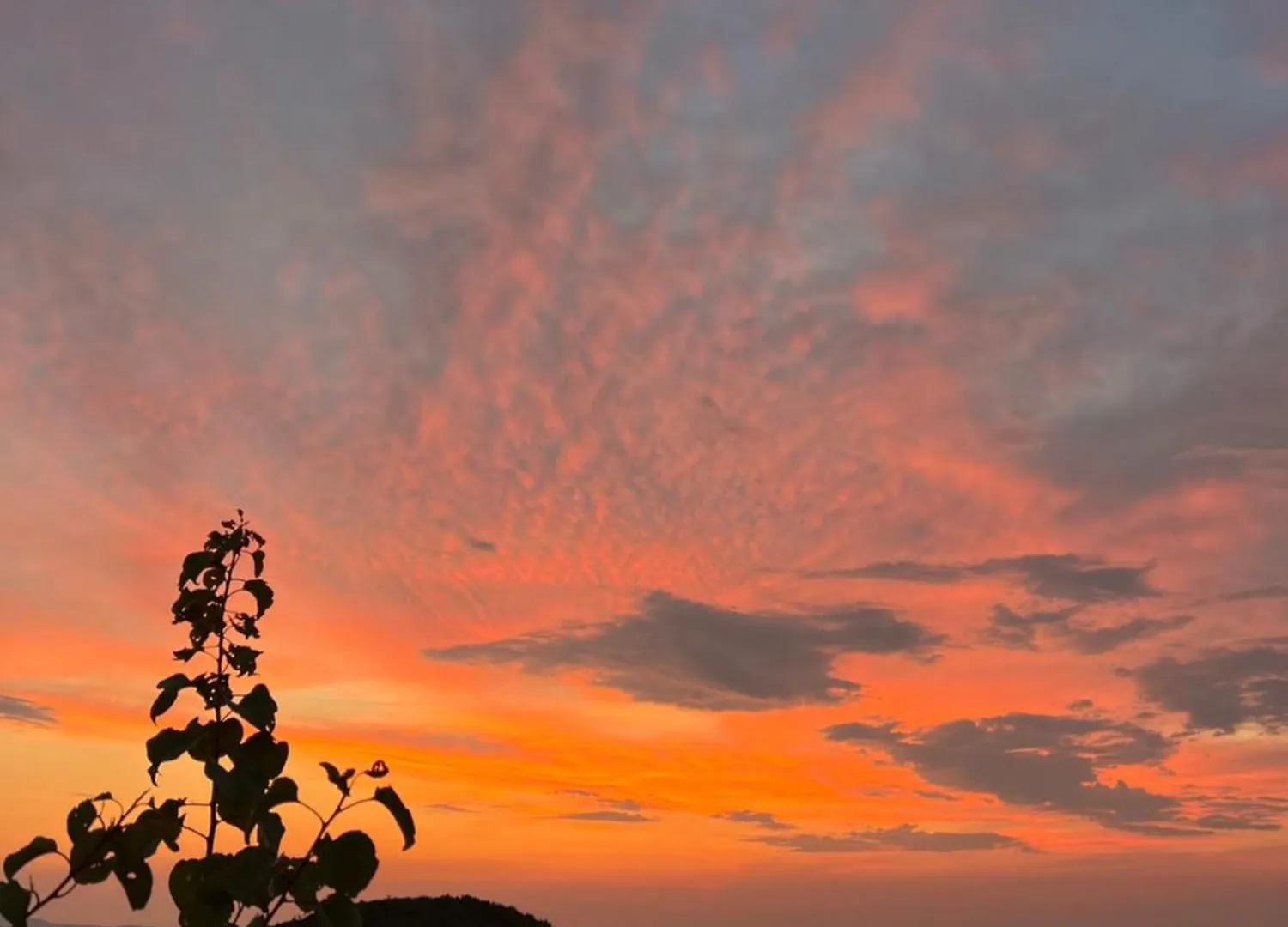 Hotel Bujtina Kapinova Berat
